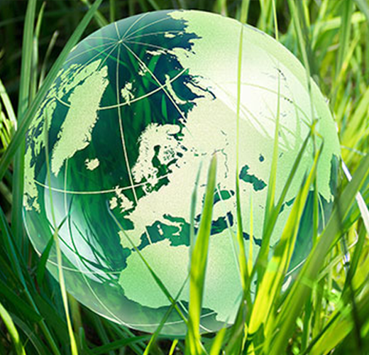 CTA-card-sustainability-news-alt